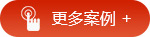 更多案例 更多案例